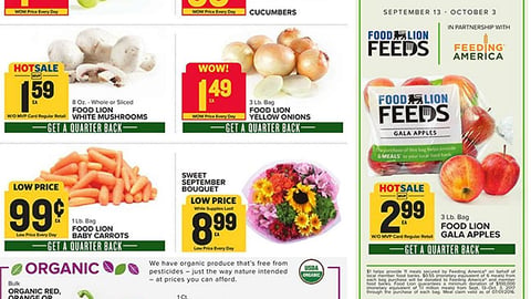 Food Lion 'A Bag of Apples Today' Feature