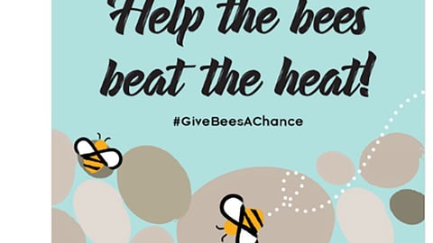 Whole Kids Foundation 'Help the Bees' Twitter Update