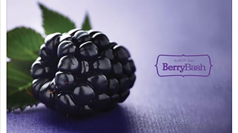 Publix 'Sweetest Berries' Facebook Update