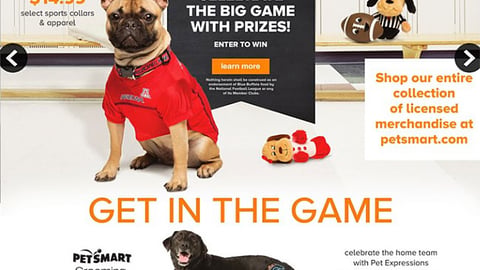 PetSmart Blue Buffalo 'Celebrate the Big Game' Feature