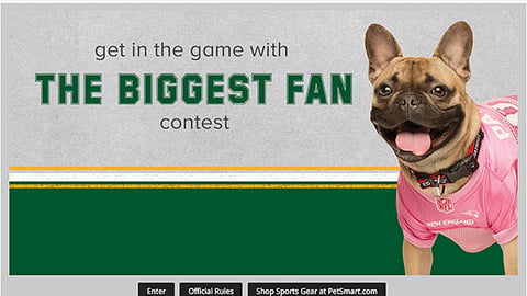 PetSmart 'The Biggest Fan' Web Page