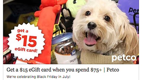 Petco 'Skip the Lines' Facebook Update