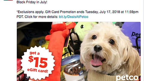 Petco 'Skip the Lines' Twitter Update