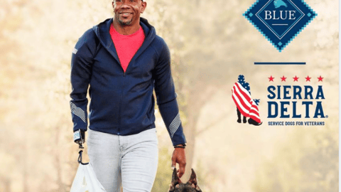Blue Buffalo Walmart 'Helping Veterans' Facebook Update
