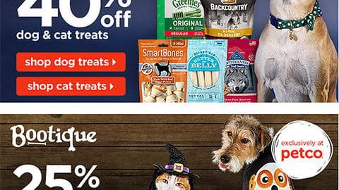 Petco Bootique 'Shop Now' Email Ad