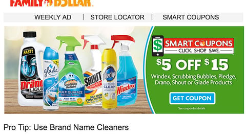 Family Dollar 'Use Brand Name Cleaners' Email Ad