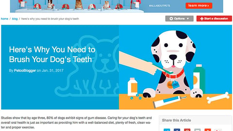 Petco 'Brush Your Dog's Teeth' Blog Post