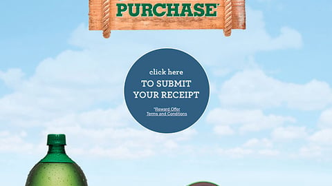 Canada Dry Fandango Rewards Redemption Web Page