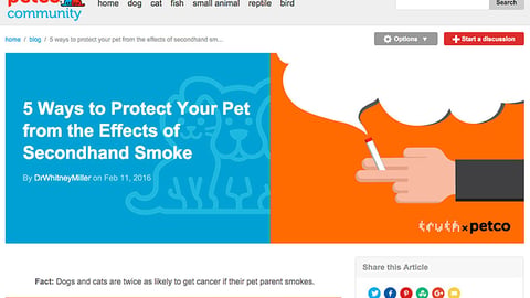 Petco 'Protect Your Pet' Blog Post