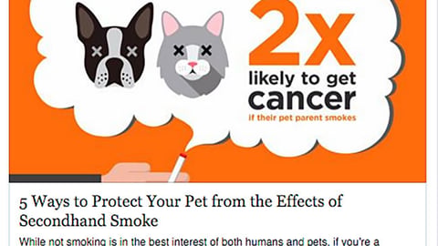 Petco 'Prevent #Catmageddon' Facebook Update