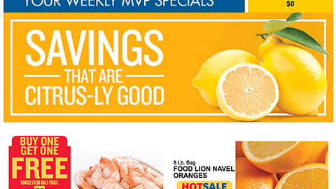 Food Lion 'Citrus-ly Good' Email Ad