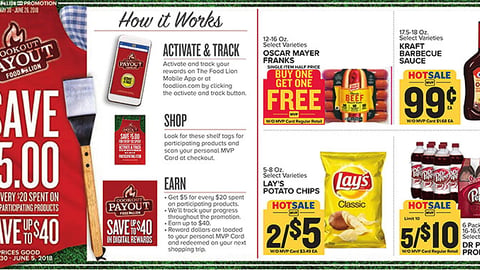 Food Lion 'Cookout Payout' Circular Wrap