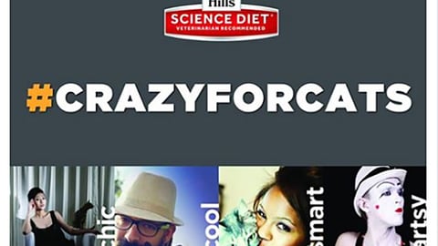 Hill's Science Diet Petco '#CrazyforCats' Facebook Update