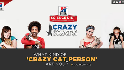 Hill's Science Diet Petco 'Crazy for Cats' Web Page