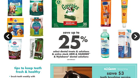 PetSmart 'National Pet Dental Health Month' Feature