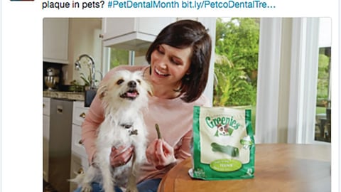 Petco Greenies 'Reduce Tartar & Plaque' Twitter Update
