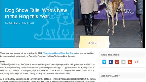 Petco 'Dog Show Tails' Blog Post