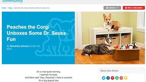 Petco 'Dr. Seuss Fun' Blog Post