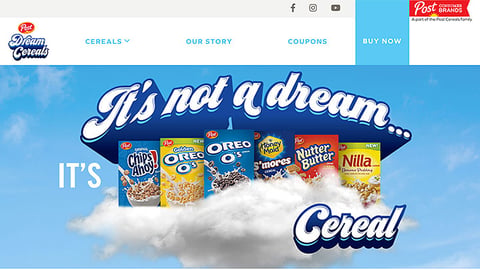 Post 'It's Not a Dream' Website