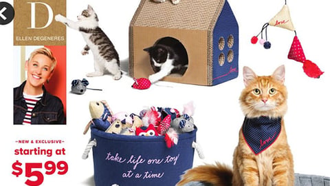 PetSmart ED Ellen DeGeneres 'New Collection' Feature