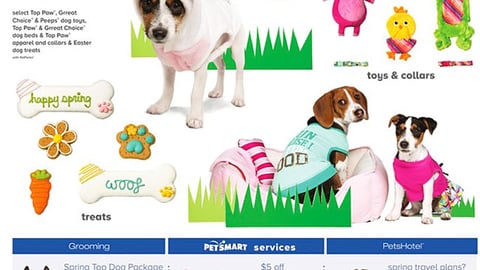 PetSmart 'Save on Easter Toys & Treats' Feature