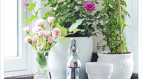Kroger Simple Truth 'Organic Home Cleaning Products' Facebook Update