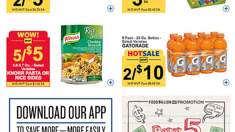 Food Lion 'Extra Credit' Email Ad