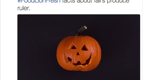 Food Lion 'Fall's Produce Ruler' Twitter Update