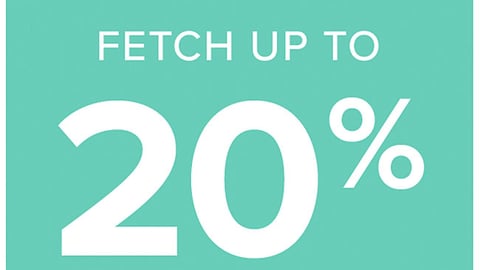 PetSmart 'Fetch Up to 20% Off' Email
