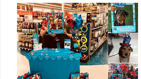 Petco Foundation #FightPetCancer Twitter Update