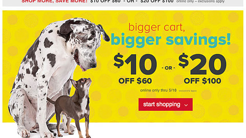 PetSmart 'Finding Dory' Display Ad