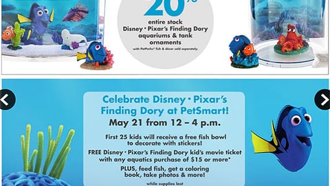 PetSmart 'Finding Dory' Feature