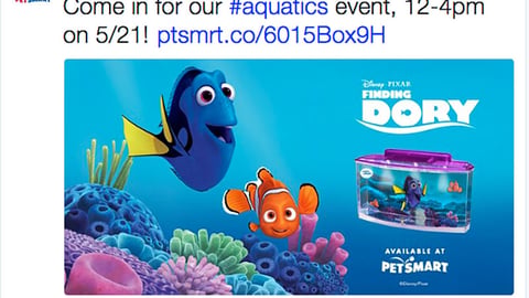 PetSmart 'Finding Dory' Twitter Update