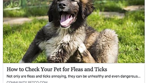 Petco 'Check Your Pet' Facebook Update