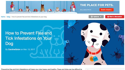 Petco 'Flea and Tick Infestations' Blog Post