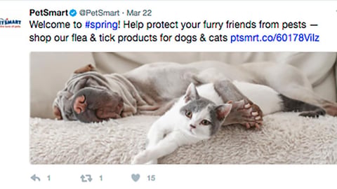 PetSmart 'Protect Your Furry Friends' Twitter Update