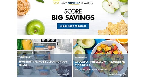 Food Lion 'Orange Bag' Display Ad