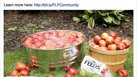 Food Lion 'Bobbing for Apples' Facebook Update
