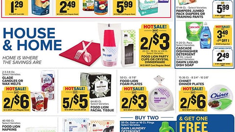 Food Lion P&G 'House & Home' Features