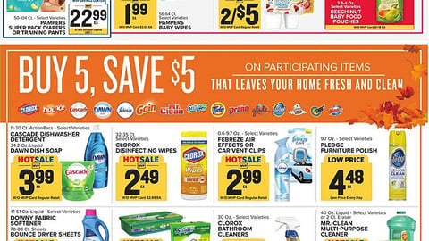 Food Lion P&G MVP Savings Center Features