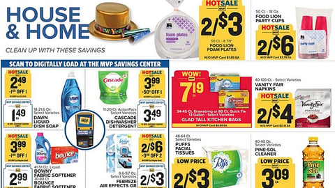 Food Lion P&G 'Clean Up with These Savings' Feature