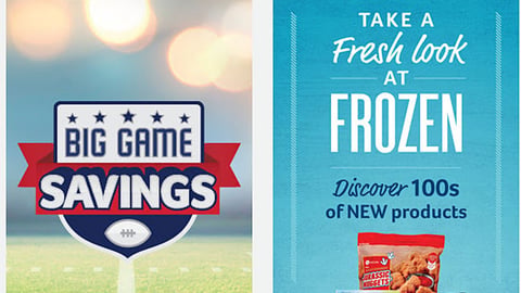 Winn-Dixie 'Take a Fresh Look at Frozen' Email Ad