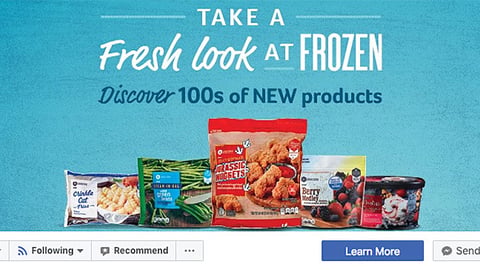 Winn-Dixie 'Take a Fresh Look at Frozen' Facebook Cover