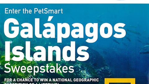 PetSmart 'Amazing Aquatics Sale' Flyer