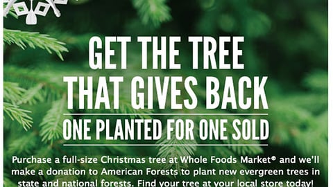 Whole Foods 'Get the Tree' Email