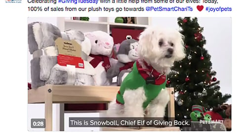 PetSmart #GivingTuesday Twitter Update