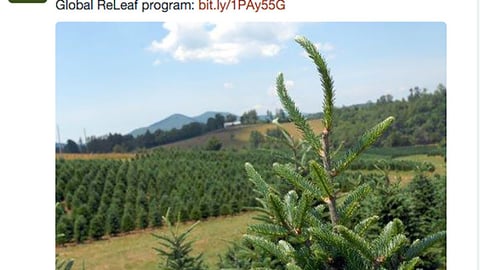 Whole Foods Global ReLeaf Twitter Update