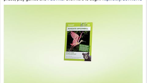 Winn-Dixie 'Animals of America' Facebook Update