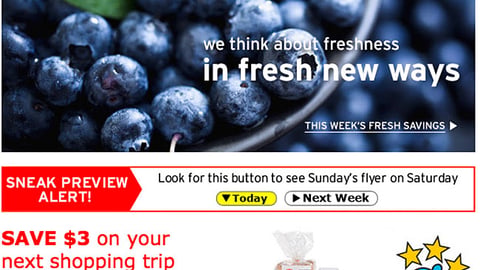 Hannaford 'Guiding Stars' Email Ad