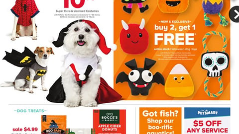PetSmart 'Halloween Fun' Feature